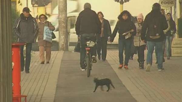 Колоездачи срещу новите велоалеи във Варна