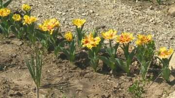 Кварталното компостиране намери почва у нас