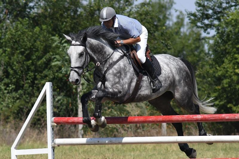 Местят конната база от Борисовата градина в София