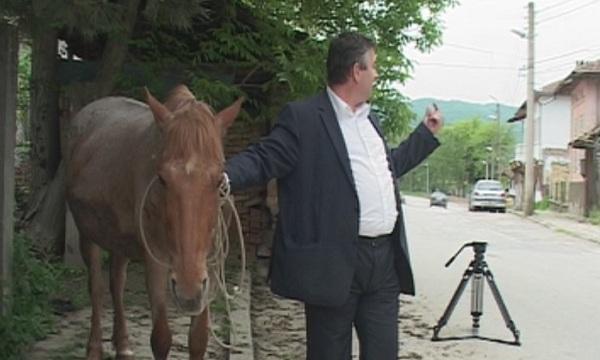 Кмет подари кон на полицейския участък в Златарица