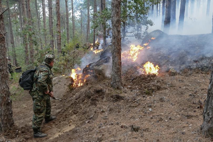 Над 15 млн. лева са щетите от пожара край Кресненското дефиле
