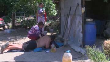  Стопанин от Крушаре се барикадира при животните си, няма да пуска ветеринари 