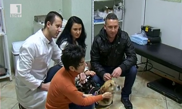 Одисеята на кучето Мила - с добър край