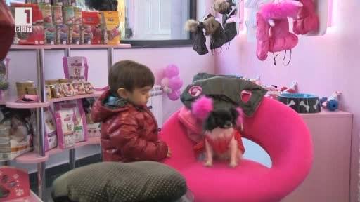 Мода за домашни любимци