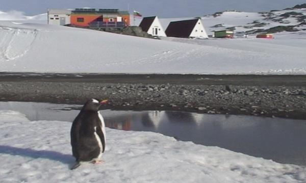 Към Антарктида