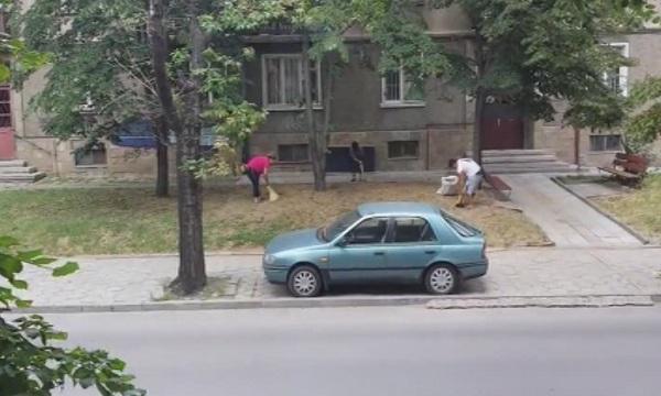 Глоби за бране на липов цвят в Благоевград