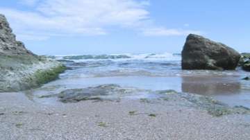 Затвориха централния плаж в Лозенец (ОБЗОР)