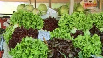 Марулите изчезнаха от пазара