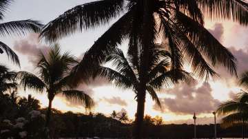  Остров мавриций 