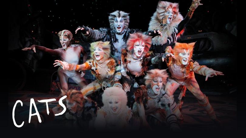 Котките от легендарния мюзикъл на Андрю Лойд Уебър преди спектакъла в София