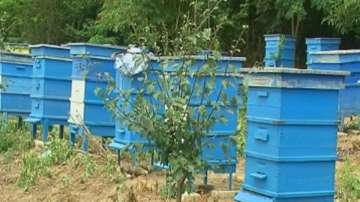 Рекордни ниски добиви на мед