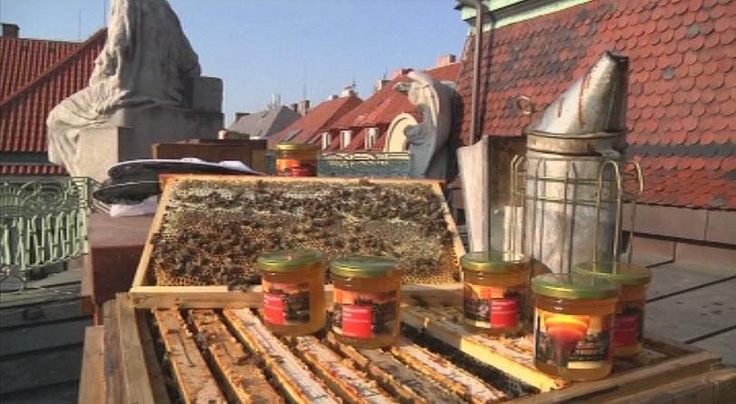 Общината в Прага произвежда мед