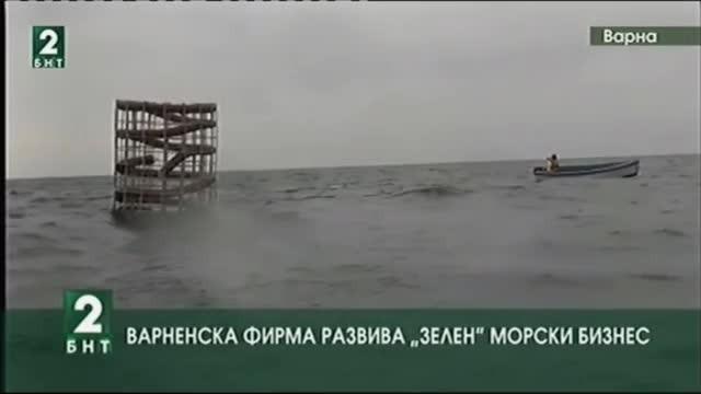 Варненска фирма развива „зелен“ морски бизнес