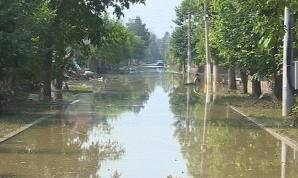 Усилията на държавата за възстановяване на Мизия
