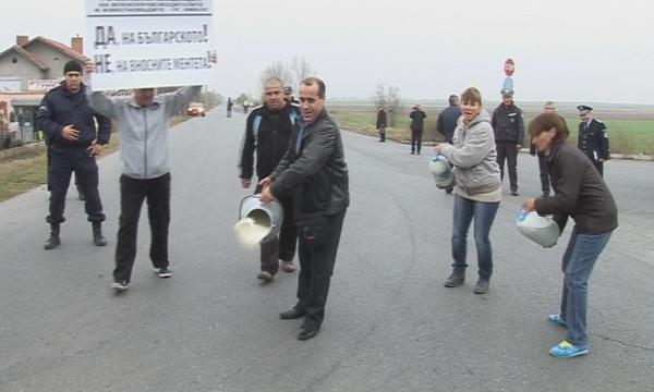 Млекопроизводители изляха продукция в знак на протест
