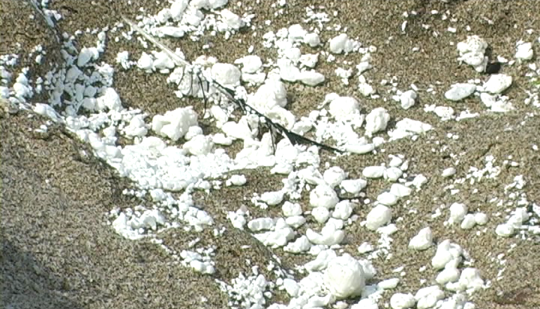 Южното Черноморие замърсено