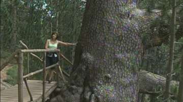  Туристи унищожават Байкушевата мура