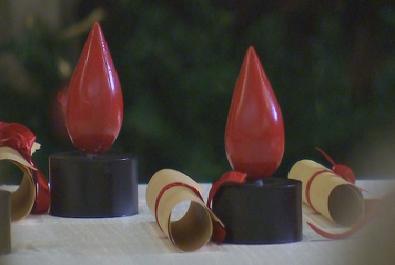 Награди на името на Даниела Сеизова