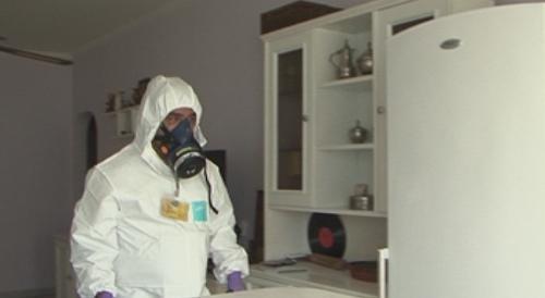 Бум на плъхове и хлебарки в София