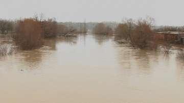 Ивелина Василева: По-добре средствата да бъдат влагани за превенция от наводненията, не за справяне с щетите