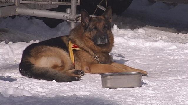 На кого можем да разчитаме в планината?