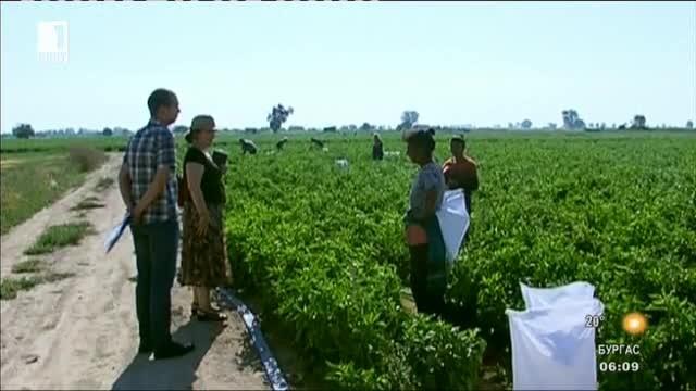 Еднодневните договори ще се сключват до две седмици