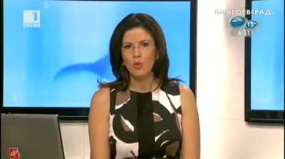 Силистра може да остане без куклен театър