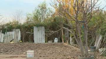 Премахват нерегламентирани земеделски стопанства в Пловдив