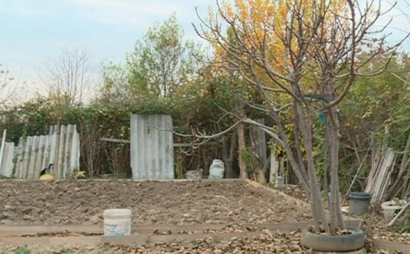 Премахват нерегламентирани земеделски стопанства в Пловдив