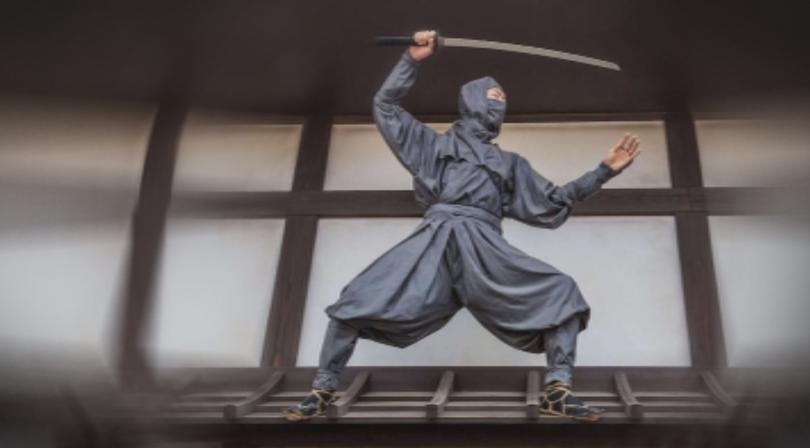 Фалшива новина за японски град с недостиг на нинджи обиколи света