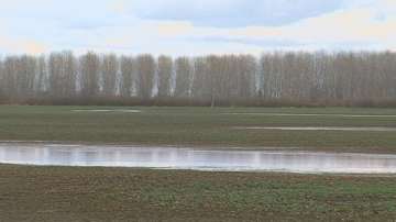 Земеделци искат промяна при изплащането на обезщетения за пострадали от бедствия земи