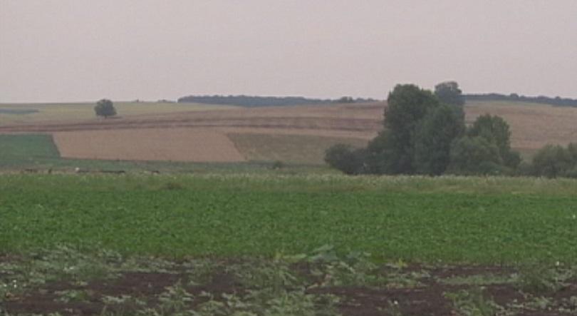 Нови схеми за обвързана подкрепа на фермерите от догодина