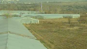 Производители на оранжерийни зеленчуци се страхуват от загуби