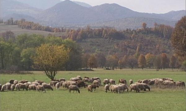 Парламентът заседава извънредно по Закона за собствеността и ползването на земеделските земи