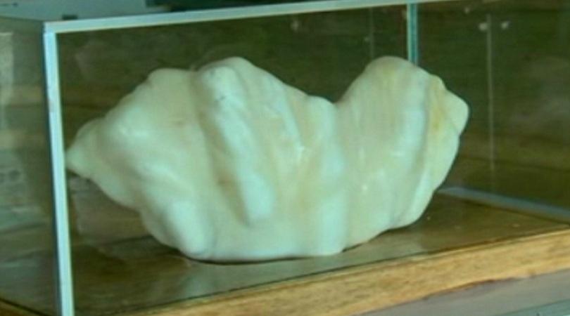 рибар пазил години гигантска перла леглото