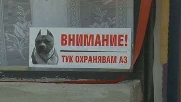 Нахапаната от питбули жена е в критично състояние