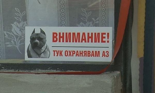нахапаната питбули жена критично състояние