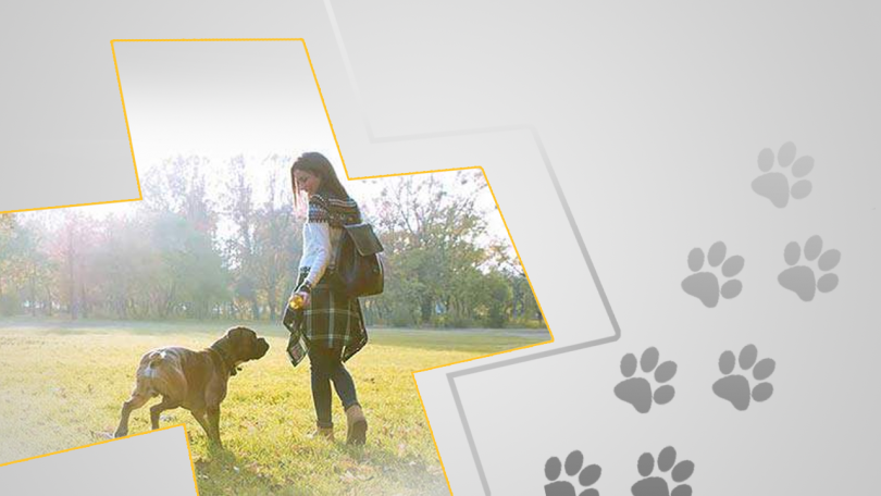 Четири истории за връзката между хора и животни