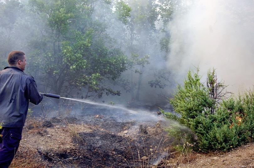 ​56 годишен тракторист свиленград предизвикал пожара лисово​ левка