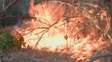 Горски пожари в Калифорния