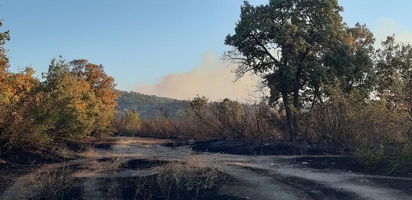 Голям пожар гори до хасковското село Брягово Огънят се простира