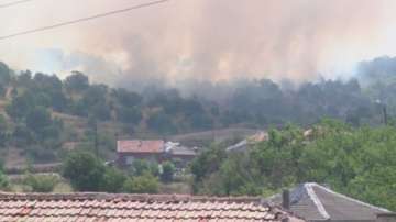 Пожар в Хасковско (ОБЗОР)