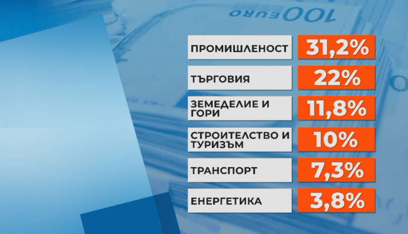 снимка 2 Резултатите от приватизацията в цифри