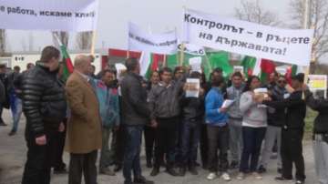 Протест срещу износа на сурова дървесина (обзор)