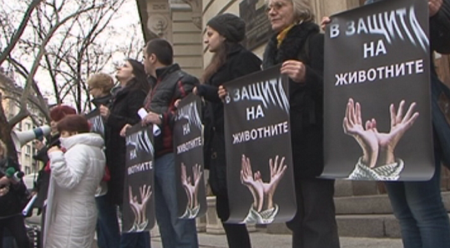 Десетки протестираха в защита на животните у нас