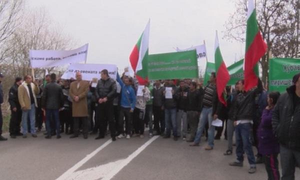Търговци на дървесина излязоха на протест срещу забраната за износ (ОБЗОР)