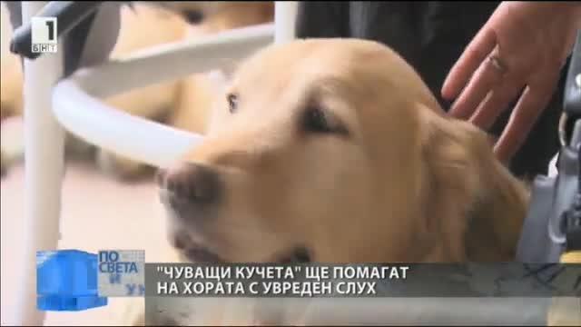 ​Чуващи кучета ще помагат на хората с увреден слух