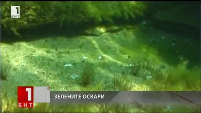 Журналистът на БНТ Цветелина Атанасова с престижна еконаграда