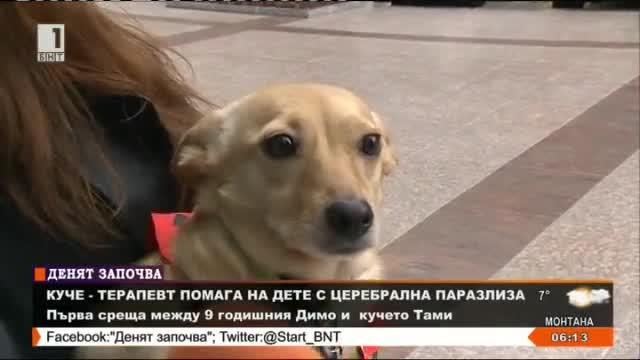 Куче терапевт помага на дете с церебрална парализа