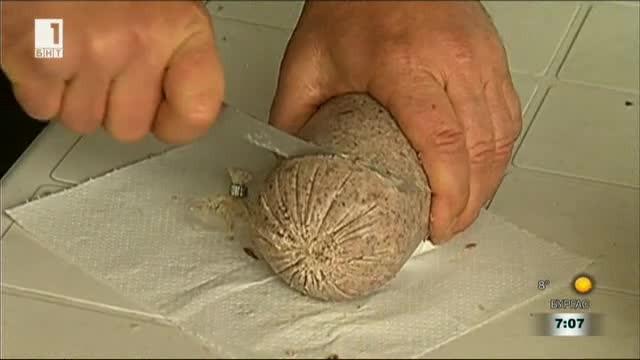 Саздърма с парчета салам и суджук се продава в търговската мрежа